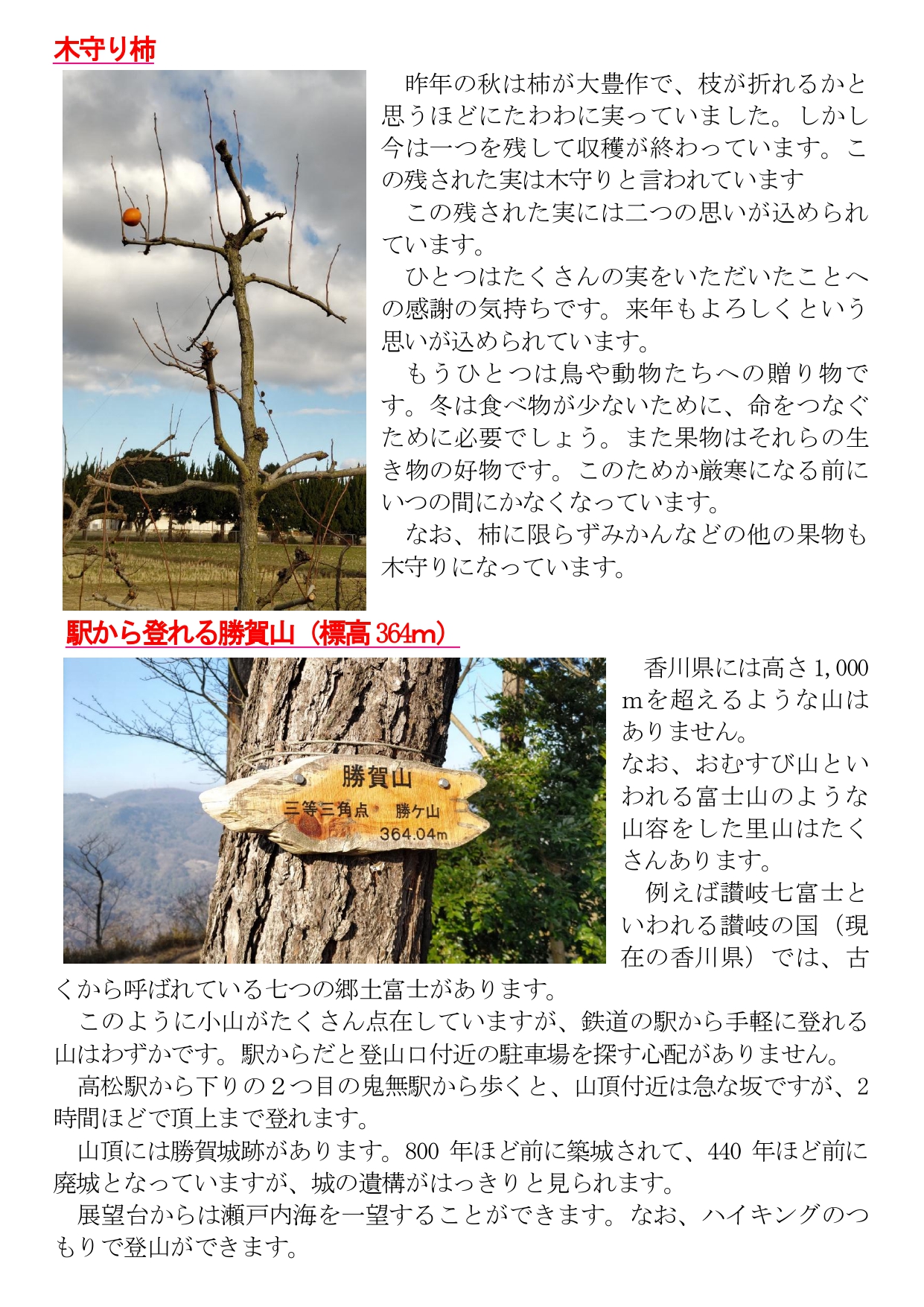 めりけんや便り  ２月号_page-0002.jpg