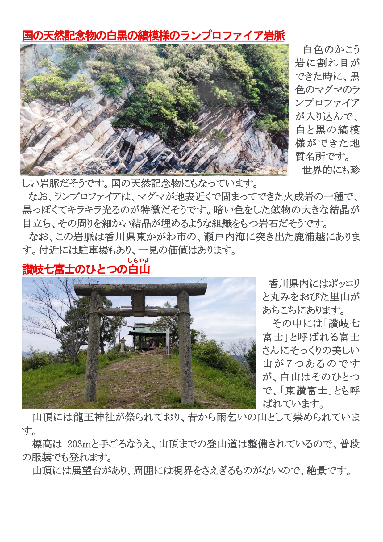 めりけんや便り　 ７月号 __page-0002.jpg
