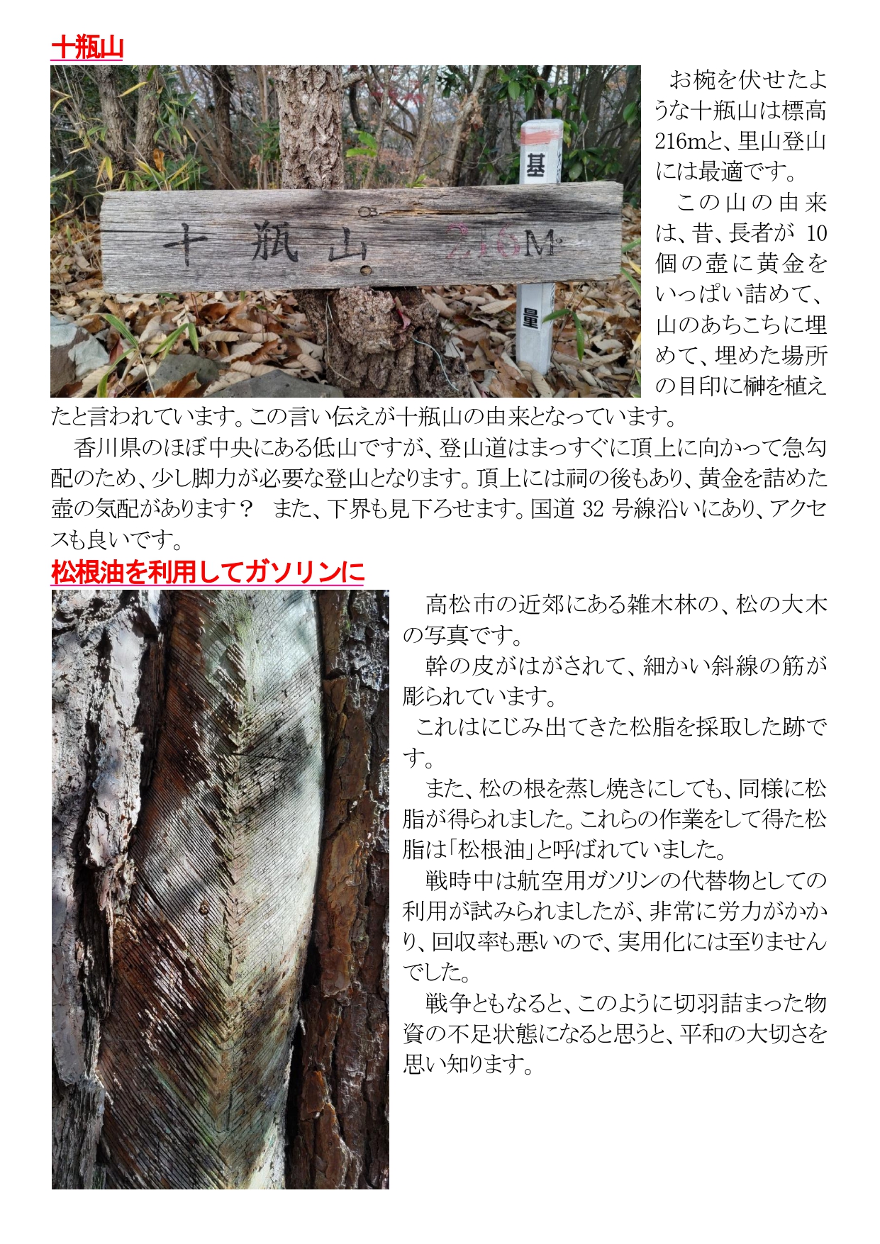 めりけんや便り  １月号_page-0002.jpg