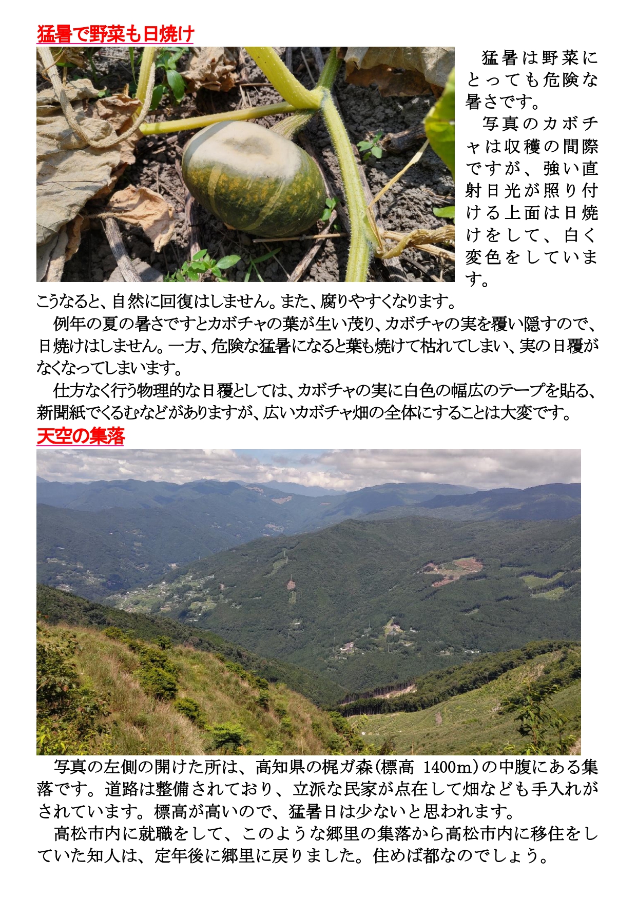 めりけんや便り 　８月号_page-0002.jpg