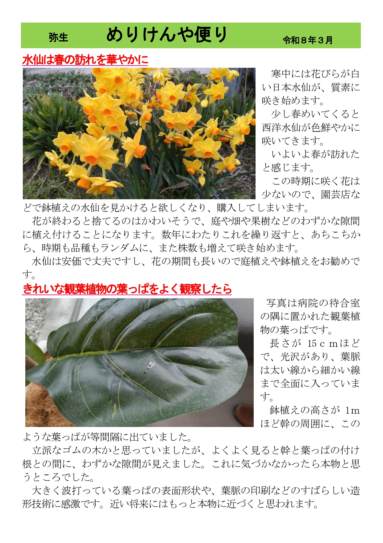 めりけんや便り  ３月号_page-0001.jpg