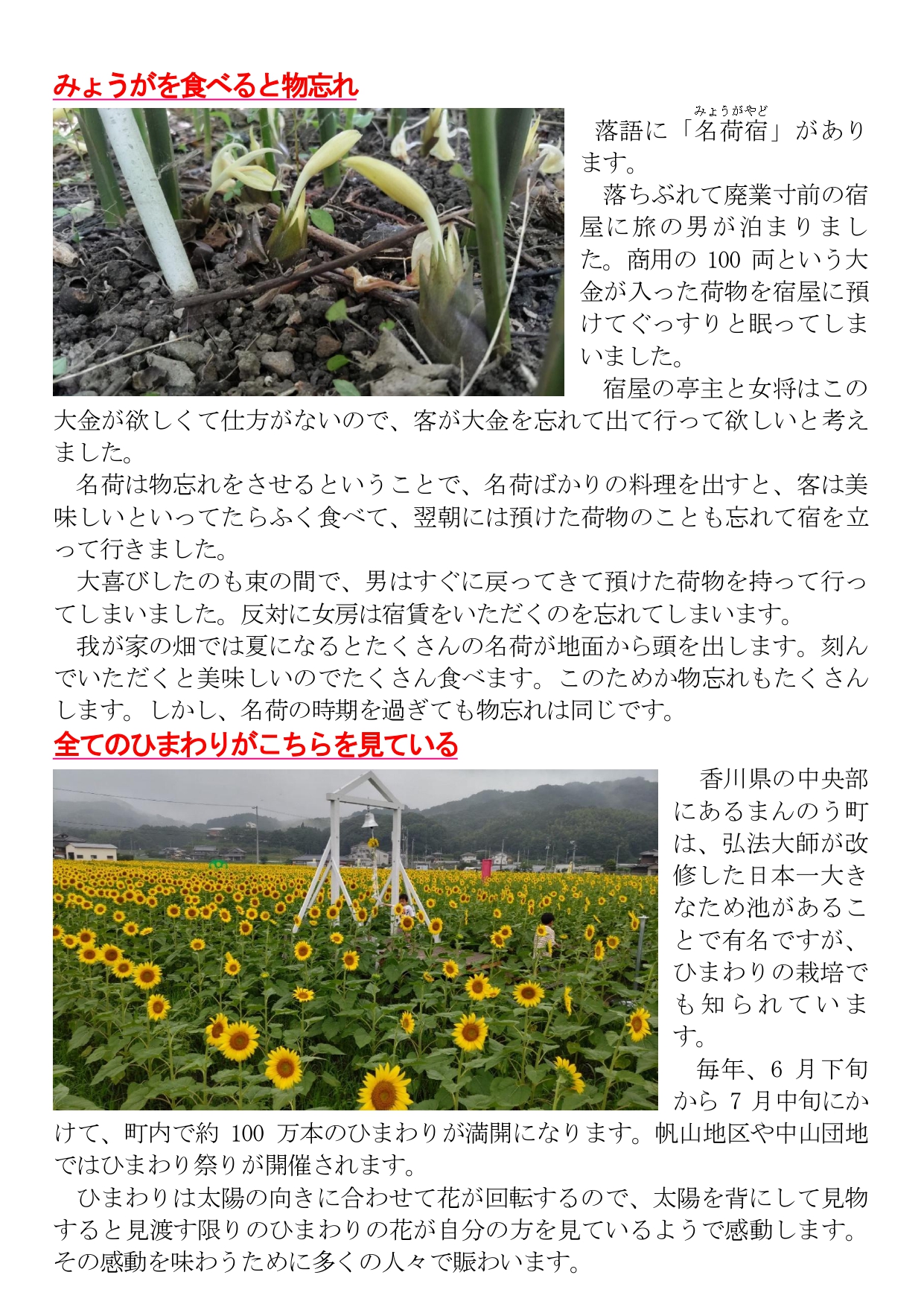 めりけんや便り  　７  月号_page-0002.jpg