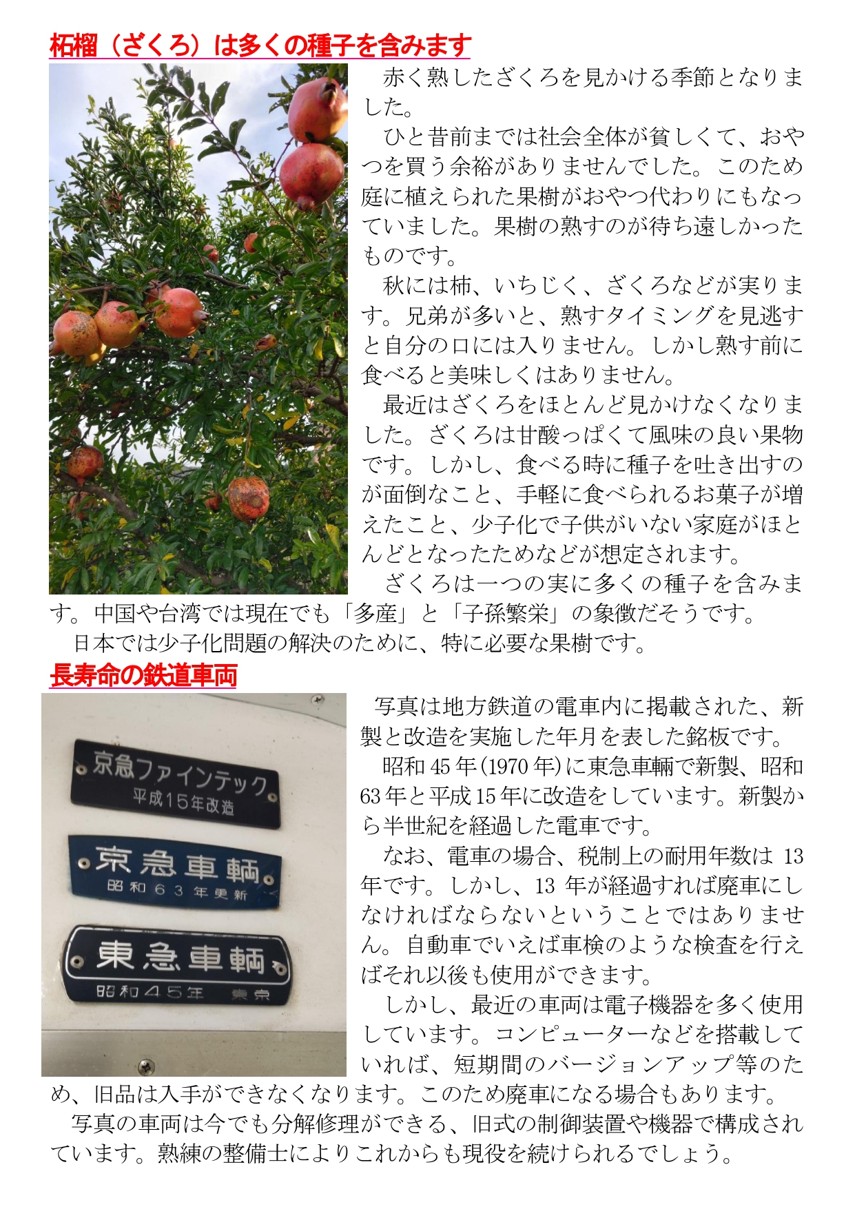 めりけんや便り  １０月号_page-0002.jpg