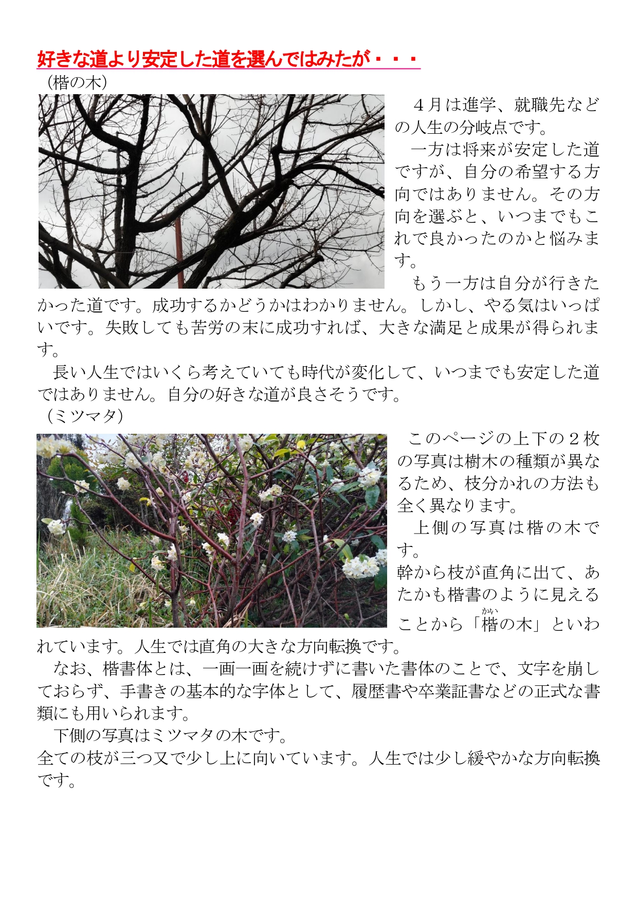 めりけんや便り　 ４月号 _ (002)_page-0002.jpg